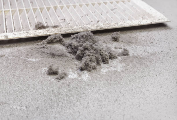 Best HVAC Maintenance and Cleaning  in Colchester, IL