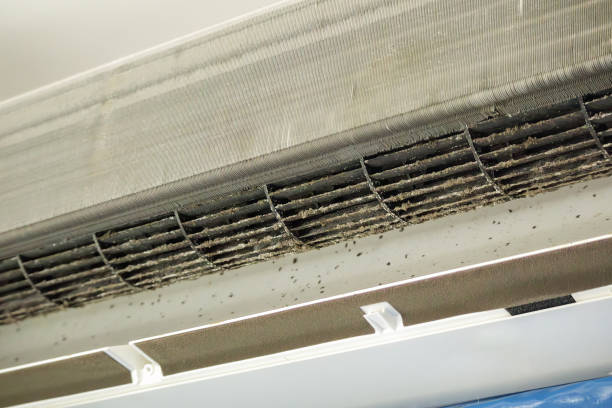 Best Affordable HVAC Duct Cleaning  in Colchester, IL